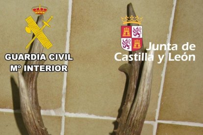 GUARDIA CIVIL BURGOS