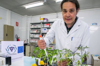 Gonzalo Sacristán Pérez Minayo, director del proyecto Novaterra en la UBU.