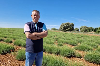 Miguel posa en los campos de lavanda de la cooperativa de Caleruega