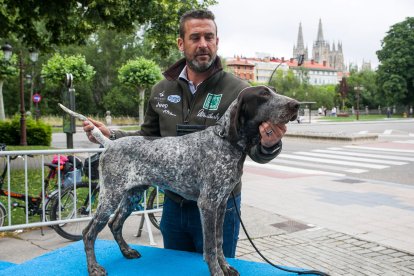 Monográfica 2024 del Club Español de Amigos del Perro Perdiguero de Burgos.