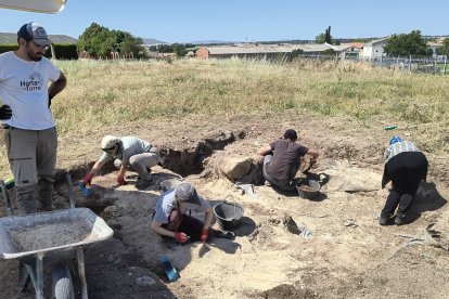 Miembros del equipo de investigación trabajando en un sondeo realizado en el término municipal de Sasamón.