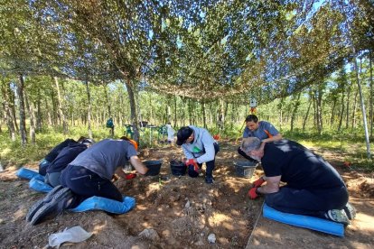 Aymerich  nuevo yacimiento al aire libre en la  sierra de Atapuerca.