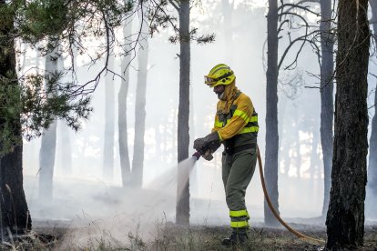 Medios aéreos y terrestres intervienen en el incendio.