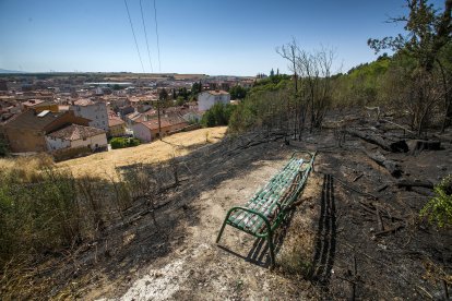 Zona del parque del Castillo donde se produjo el incendio hace unos días. El segado de la zona próxima a las viviendas y la rápida intervención frenó su expansión.