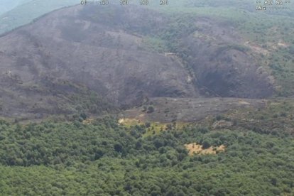 El área quemada por el momento supera las 100 hectáreas, fundamentalmente de matorral bajo.