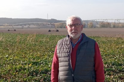 José Luis posa en una plantación de remolacha de la cooperativa