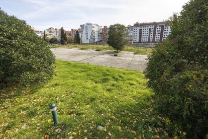 Solar del antiguo hospital General Yagüe, en el que ha crecido la vegetación por la falta de uso, desde que culminó el derribo en 2016.