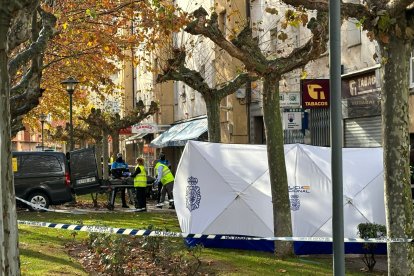 El presunto asesinato se ha cometido en la Avenida de Burgos en el barrio de Santa Catalina