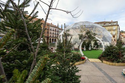 Los domos geodésicos son una de las novedades de este año.