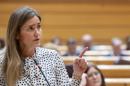 La vicepresidenta tercera del Gobierno y ministra para la Transición Ecológica y el Reto Demográfico, Sara Aagesen, interviene durante una sesión de control en el Senado, a 8 de abril de 2025, en Madrid (España).