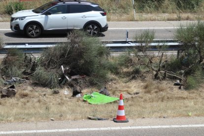 Fallecen el futbolista del Liverpool Diogo Jota y su hermano en un accidente en la A-52 en Cernadilla (Zamora).