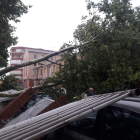 La caída del un árbol en la Plaza Marceliano Santa María causó destrozos a un murete y varios vehículos.