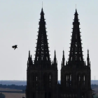 Gracias al proyecto Hacking Burgos la silueta del halcón peregrino vuelve a surcar el cielo de la ciudad.