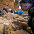 Trabajos sobre un fósil de fauna en el nivel TD-4 de Gran Dolina durante la campaña de excavaciones de Atapuerca.