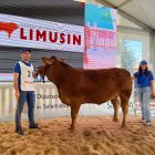 Aitor Sainz Maza, junto a Ana, su mujer, en la última edición de la feria Salamaq tras hacerse con uno de los galardones.