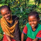 Imagen que ilustra la campaña número 66 de Manos Unidas.