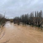 Imagen actual del Duero a su paso por Aranda