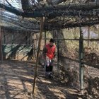 Cruz Roja limpiando el Barriles