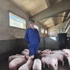Marta Llorente posa en su granja de 2.000 cerdos