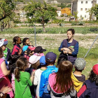 Un grupo de escolares escucha a una monitora en una de las visitas al Aula Rural.-ECB
