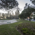 Chopos y pinos piñoneros serían los peor conservados de las especies del parque de la Cruz Roja.-ISRAEL L. MURILLO