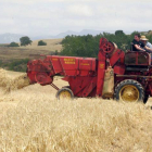 En el proceso de mecanización de la agricultura coexistieron las nuevas máquinas y las seculares.-G. González