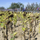 La organización de la Vuelta a Burgos deja en manos de las autoridades la decisión final. ISRAEL L. MURILLO