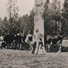 A partir de los años 20, la finca dio sus primeros pasos como explotación agraria y ganadera.-PRADO REY