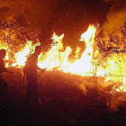 Brasil despliega a miles de hombres para combatir los incendios en la amazonia.-EFE
