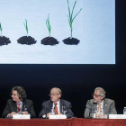 Los ponentes abordaron los principales retos del sector ayer en el Teatro Principal.-SANTI OTERO