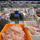 Trabajadores en la cadena de producción de Cárnicas Selectas 2000.-ISRAEL L. MURILLO