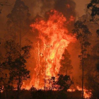 Imagen del incendio en Bobin, a 350 km al norte de Sydney-AFP
