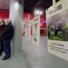 La muestra se inauguró ayer y podrá verse hasta el 17 de marzo.-R.O.