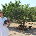 Pilar Gutiérrez, profesora de zootecnia y producción animal y encargada del gallinero ecólogico de la Escuela Universitaria de Ingienería Agrícola de Valladolid, INEA.-M.C.
