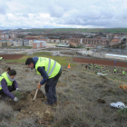 Dos de los voluntarios preparan el terreno para plantar.-ISRAEL L. MURILLO