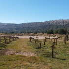 El entorno reconvertido gracias a Sergio Leone en el cementerio de Sad Hill se ubica entre los términos municipales de Contreras y Santo Domingo de Silos.-A. MARROQUÍN