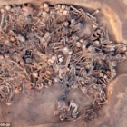 Las ruinas de la casa "F40" en el interior de la cual se pueden ver el centenar de esqueletos que se han encontrado y que datan de 5.000 años atrás-Foto: © Chinese Archaeology