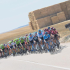 Imagen del pelotón de la Vuelta a Burgos. RICARDO ORDÓÑEZ