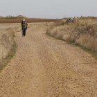 Un peregrino recorre el Camino Francés a escasos kilómetros de Castrojeriz.-RAÚL G. OCHOA
