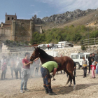 La V Feria del Caballo Losino de Pancorbo atrajo a más de un millar de visitantes.-G. G.