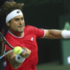 David Ferrer devuelve la bola al indio Saketh Myneni durante el partido de la Copa Davis entre India y España.-EFE / RAJAT GUPTA