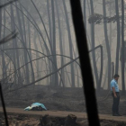 Incendio de Portugal.-AFP / PATRICIA DE MELO MOREIRA