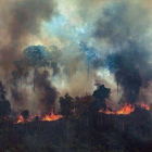 La Amazonía brasileña registró los meses de agosto y septiembre sus peores incendios en más de una década.-GREENPEACE