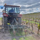 Un agricultor trabajando con su tractor en una explotación vinícola. ECB