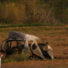Daphne Caruana de 53 años ha fallecido este lunes en la explosión de un coche bomba.-ZAMMIT LUPPI (REUTERS)