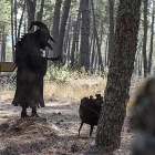 Si uno no sabe de qué va la historia, puede llevarse un buen susto.-ECB
