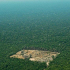 Un terreno deforestado en el estado brasileño de Amazonas.-