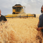 Rafael Ruipérez y Rubén Andrés en su explotación de Villaviudas en plena cosecha de guisante ‘viriato’, una variedad obtenida y mejorada en Castilla y León.-BRÁGIMO