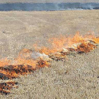 Un agricultor realiza una quema controlada para combatir una plaga de topillos.-ICAL