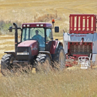 El mes de noviembre ha sido malo para la Agricultura en términos de empleo.-ISRAEL L. MURILLO